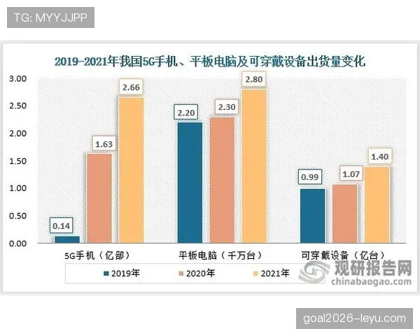 雷吉纳表现稳健，数据揭示新兴市场增长新机遇