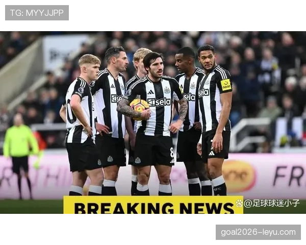 纽卡斯尔联最新转会消息与引援动向